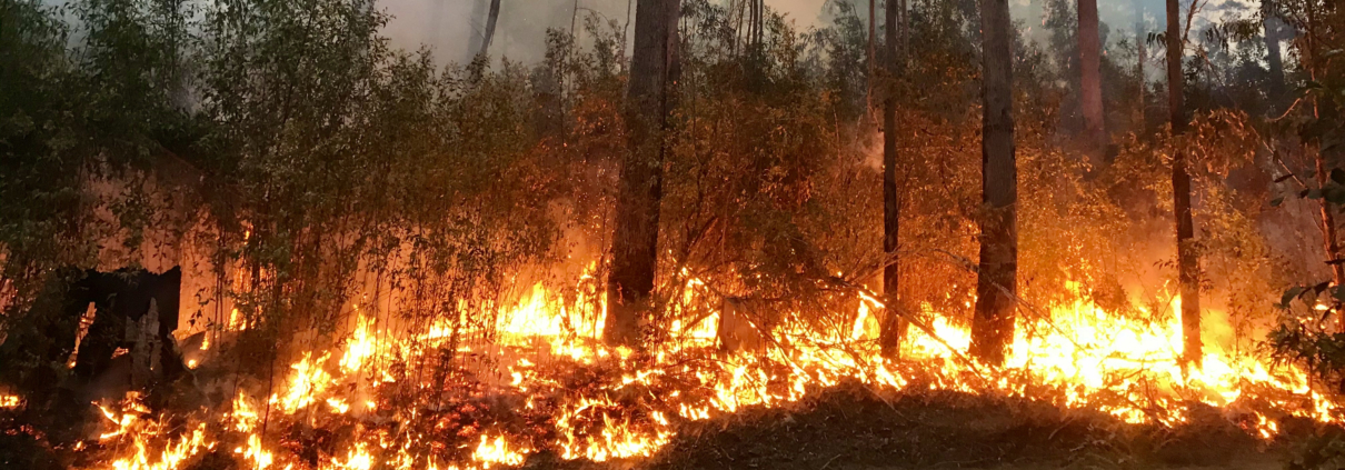 préparation entreprise feu de végétation