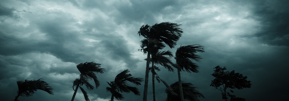 Se préparer à un ouragan