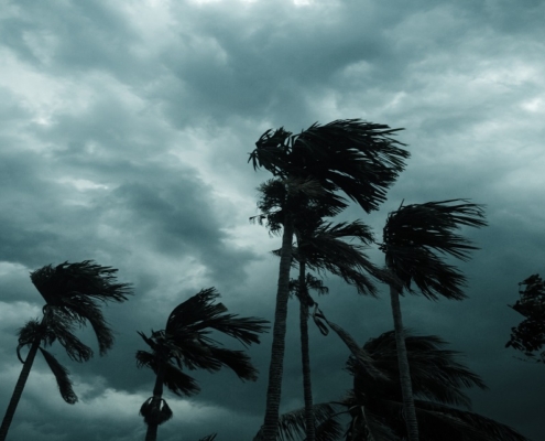 Se préparer à un ouragan