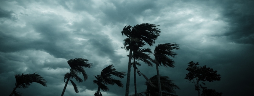 Se préparer à un ouragan