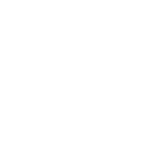 looking for insurance icon