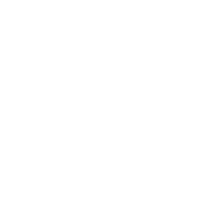 looking for insurance icon