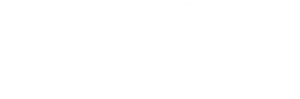 visa logo